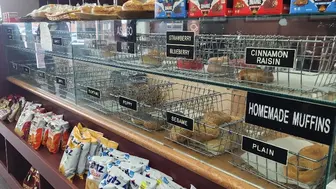 Established Bagel Store for Sale