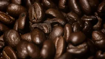 Premier Destination Coastal Coffee Portfolio (2 SHOPS)