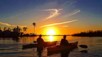 Award-Winning Multi-Location Kayak Rental & Tours