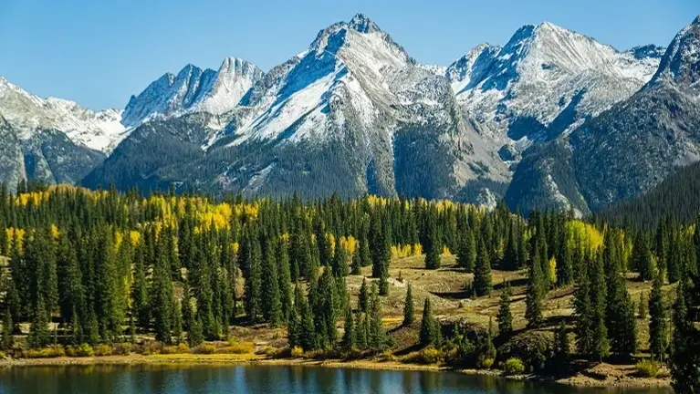 Chiropractic Practice for Sale in Front Range, CO Area