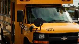 School Bus Transportation Company for Sale