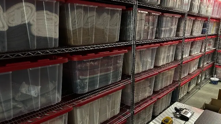 Inventory, Shelving, & Storage
