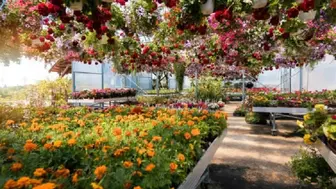 Wholesale Heritage Nursery - Horticultural Production & Garden Center