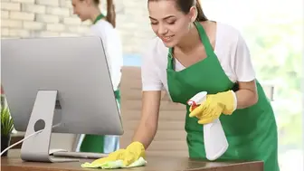 Established Cleaning Master Franchise, Protected Territory