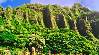 2 Stunning Super Profitable CarWashes & Property!