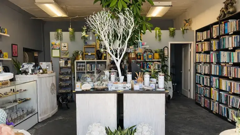Clean, organized retail space with diverse inventory and welcoming atmosphere Clean, organized retail space with diverse inventory and welcoming atmosphere