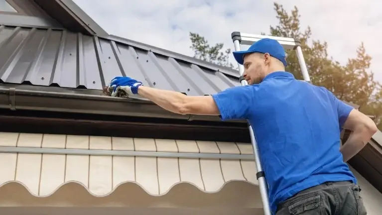 Gutter Cleaning Gutter Cleaning