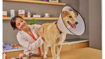 Established Dallas Veterinary Practice with Real Estate Available