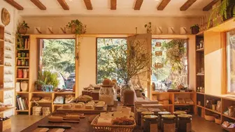 Sustainable home and body refill shop with 2 storefronts 