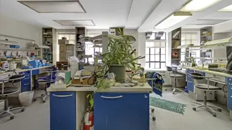 Rare Midtown Manhattan Dental Laboratory – $1.1M Ann Rev | CAD/CAM