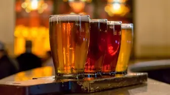 Microbrewery, Restaurant with Real Estate and Bar for Sale!!!