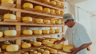 Boutique Cheese Shop Located In A High-Traffic Corridor (Brooklyn)