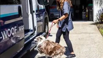 Turnkey Mobile Pet Grooming and Sitting Business - San Diego Co
