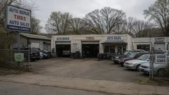 Multi-Revenue Automotive Service & Vehicle Sales Business