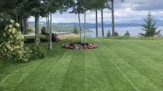 Landscape Maintenance Business  