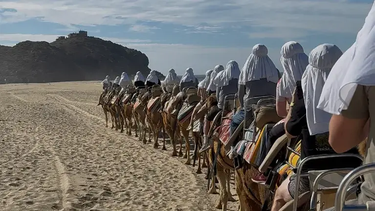 Beach camelback ride in Cabo