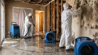 Cleaning & Restoration Franchise Business