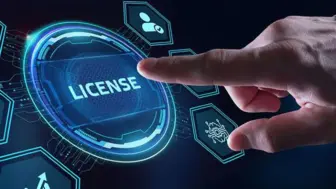 ** High-Margin Licensing & Software Platform - $250k Last 90 Days **