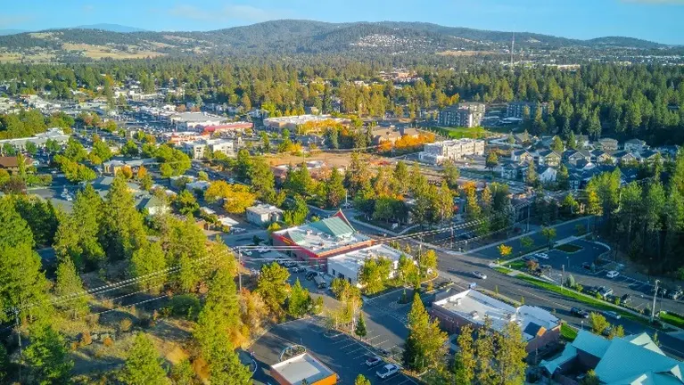 Thai Bamboo Aerial-S Spokane