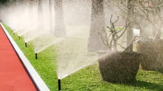 Home Based Irrigation Business in South Carolina