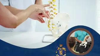 Established Chiropractic Practice – Strong Cash Flow & Loyal Team