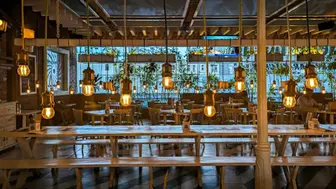 SBA Pre-Qual B2B eCommerce Brand | Specialized Lighting & Elec Supply