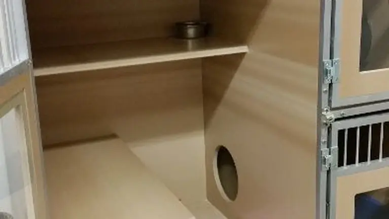 Kitty condo Kitty condo