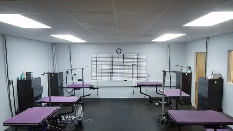 Grooming Stations Grooming Stations