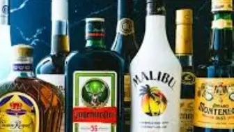 Miami / Dade County Liquor License for Sale