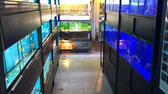 Established Pet Store