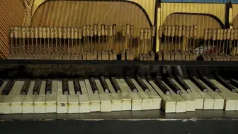 Legacy Bass Piano String Manufacturer – Proprietary IP – Niche Market