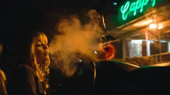 3-Established Smoke Shop in Hillsborough and Pinellas County.