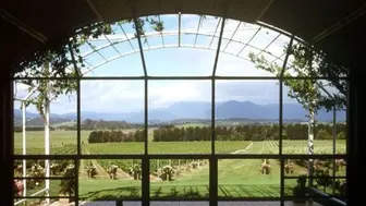 Rare Find -Window & Door Coverings $$$