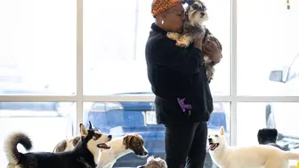 Full-Service Dog Daycare & Boarding Business