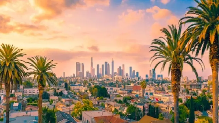 Chiropractic Practice for Sale in West Los Angeles, CA 