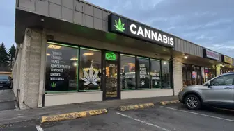 Seattle Cannabis Dispensary | ~$1M Gross Sales Run Rate
