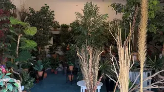 Décor business asset sale artificial trees, plants, silks, supplies