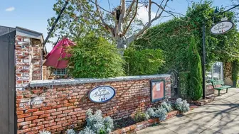 Classic French Dining | Timeless Ambiance | A Rare Opportunity