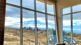 Established Window Tinting Business