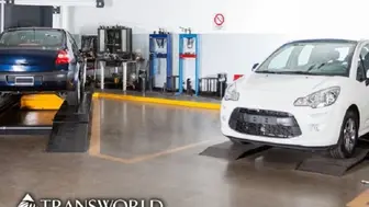 Auto Detailing & Custom Wrap Shop - Owner Operated