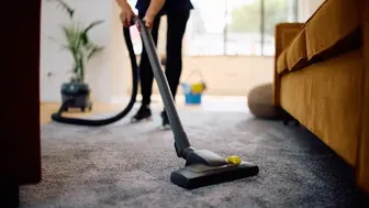 Remote San Diego Home Cleaning Business