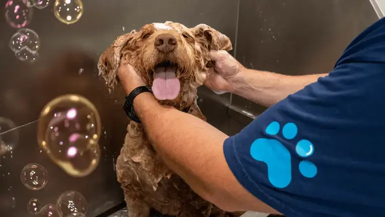 Happy Customer Happy Customer