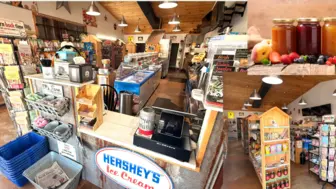 NEW LISTING! Country Store & Ice Cream Shop! Touristic Blairsville, GA