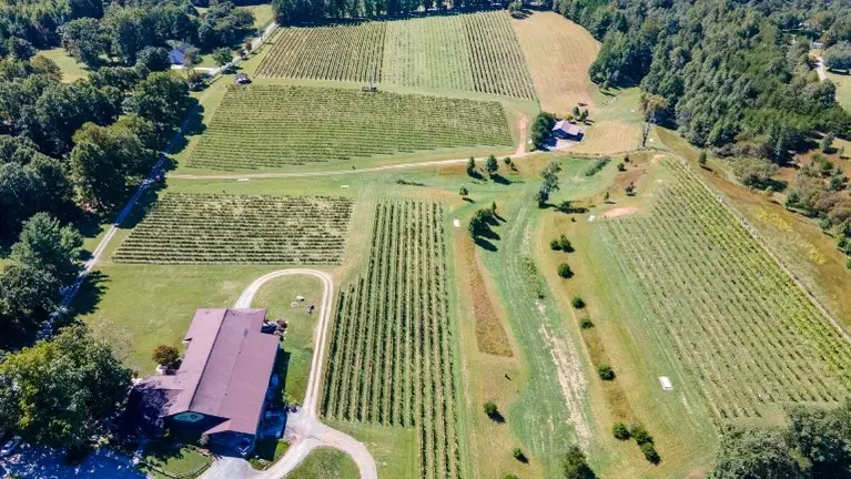 Well thought out Design