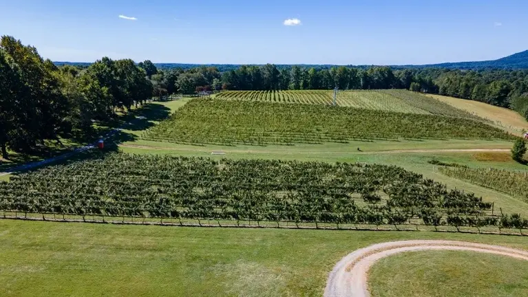 Outstanding Vineyard layout