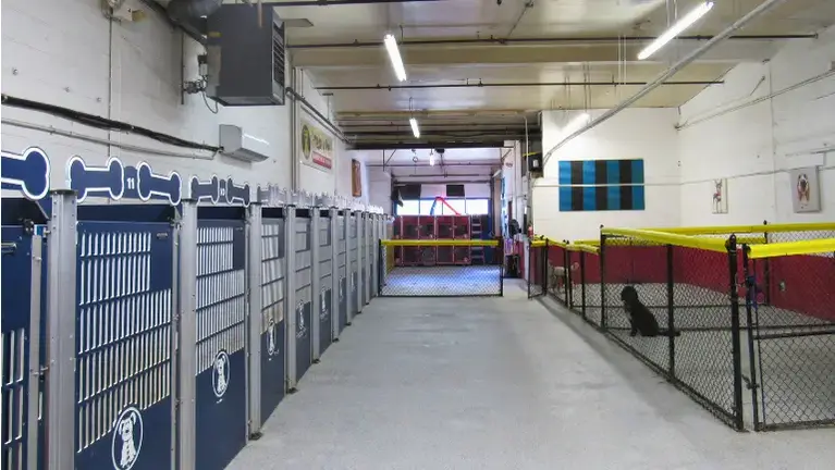 60 Kennels 60 Kennels