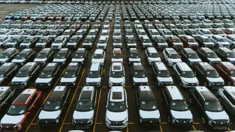 Auto Dealership / Used Cars