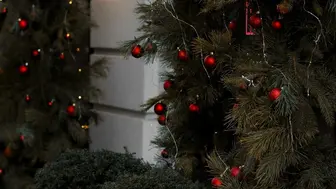 Established Pittsburgh Holiday Decor Business