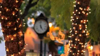 Established 40+ Years: Premier Shoe Store with Loyal Client Base