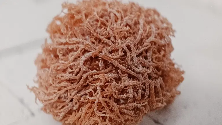 raw sea moss